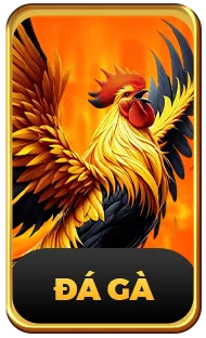 đá gà uu88