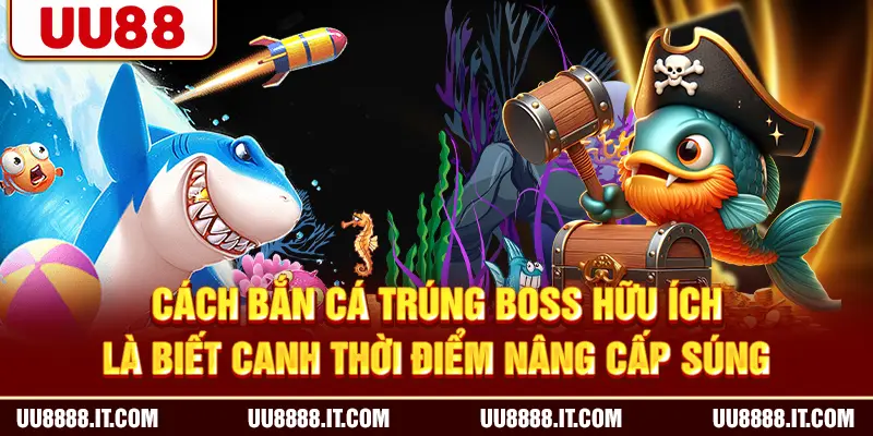 Cách bắn cá trúng boss hữu ích là biết canh thời điểm nâng cấp súng