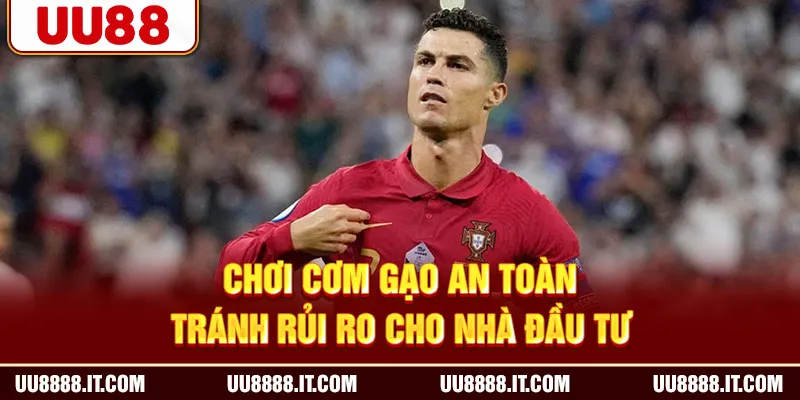 Chơi cơm gạo an toàn tránh rủi ro cho nhà đầu tư