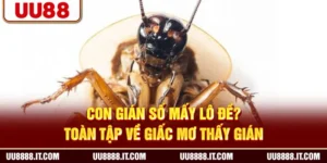 Con Gián Số Mấy Lô Đề? Toàn Tập Về Giấc Mơ Thấy Gián