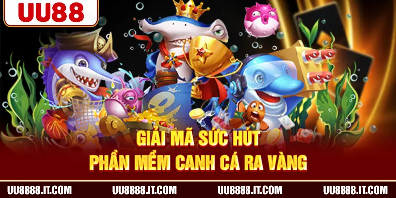 Giải mã sức hút phần mềm canh cá ra vàng