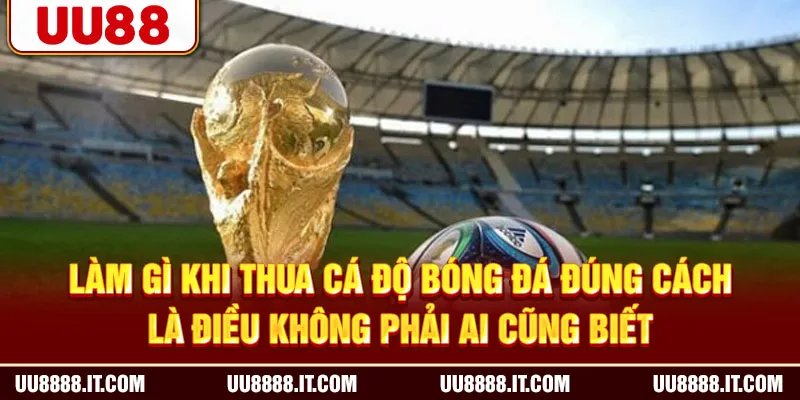 Làm gì khi thua cá độ bóng đá đúng cách là điều không phải ai cũng biết