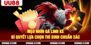 Mẹo Nhìn Gà Linh Kê - Bí Quyết Lựa Chọn Thí Sinh Chuẩn Xác