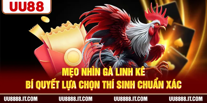 Mẹo Nhìn Gà Linh Kê - Bí Quyết Lựa Chọn Thí Sinh Chuẩn Xác