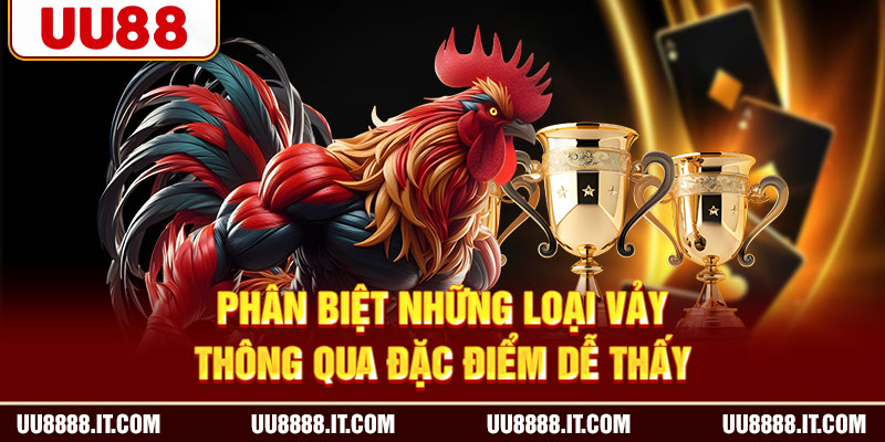Phân biệt những loại vảy thông qua đặc điểm dễ thấy