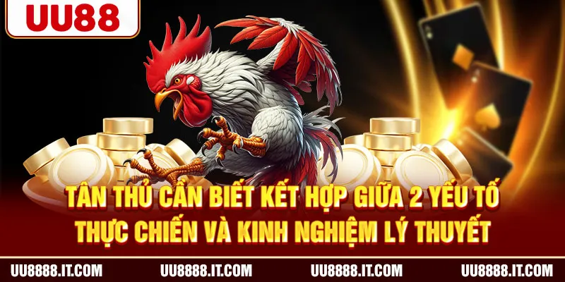 Tân thủ cần biết kết hợp giữa 2 yếu tố thực chiến và kinh nghiệm lý thuyết