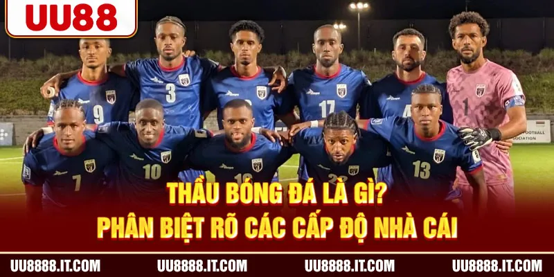 Thầu Bóng Đá Là Gì? Phân Biệt Rõ Các Cấp Độ Nhà Cái