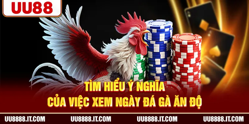 Tìm hiểu ý nghĩa của việc xem ngày đá gà ăn độ