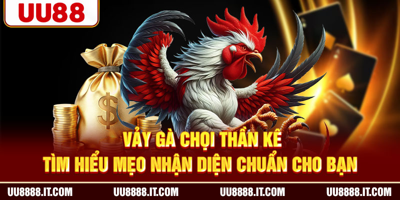 Vảy Gà Chọi Thần Kê - Tìm Hiểu Mẹo Nhận Diện Chuẩn Cho Bạn